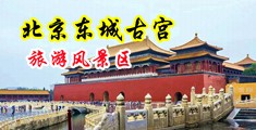大鸡巴操裸体女主播的骚逼中国北京-东城古宫旅游风景区